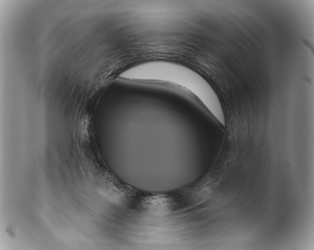 X0000099960219200806131517