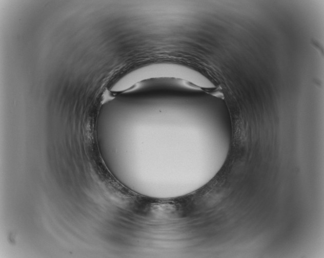 X0000099960220200806131517