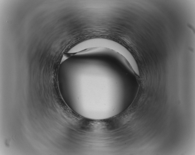 X0000099960221200806131517