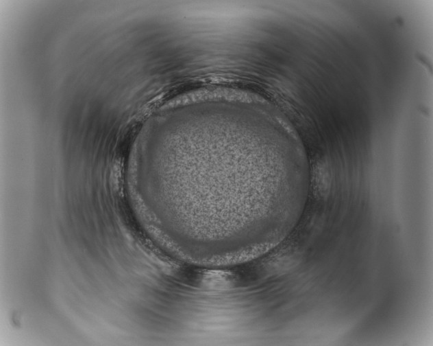 X0000099960222200806131517