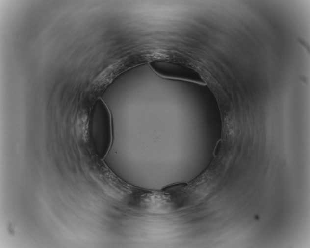 X0000099960223200806131517