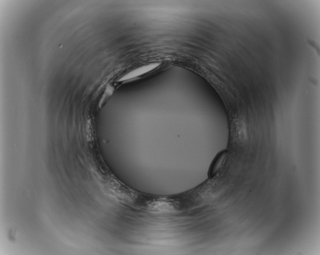 X0000099960224200806131517