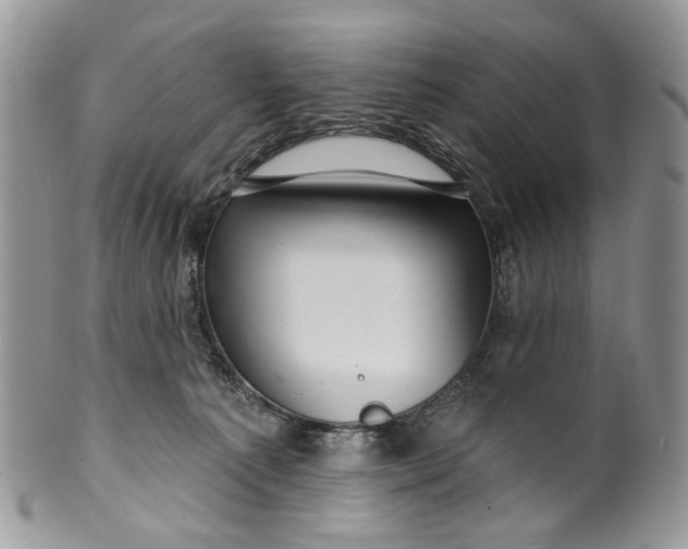 X0000099960225200806131517