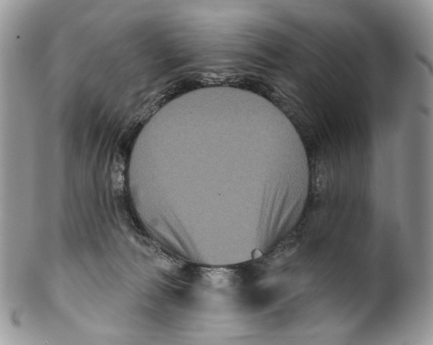 X0000099960226200806131517