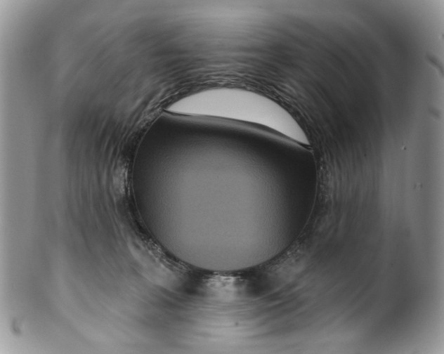 X0000099960227200806131517