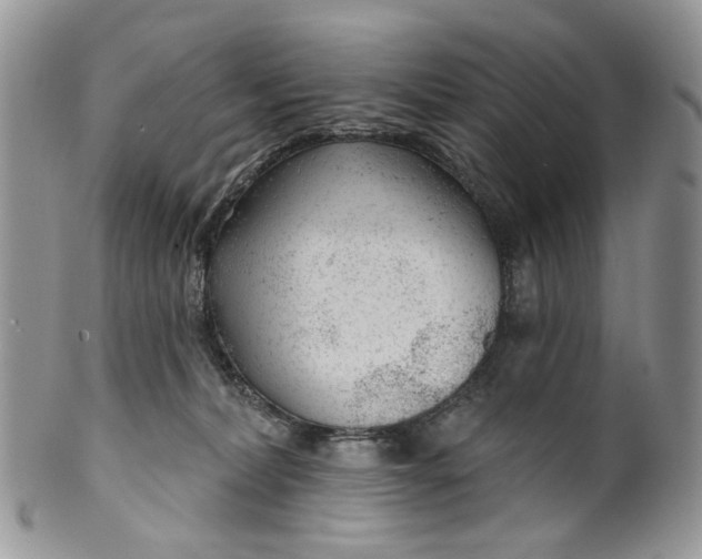 X0000099960228200806131517