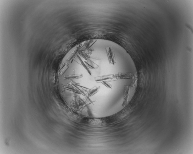 X0000099960230200806131517