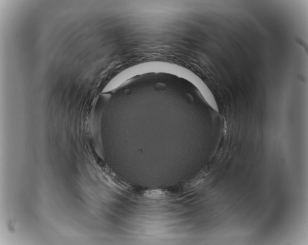 X0000099960231200806131517