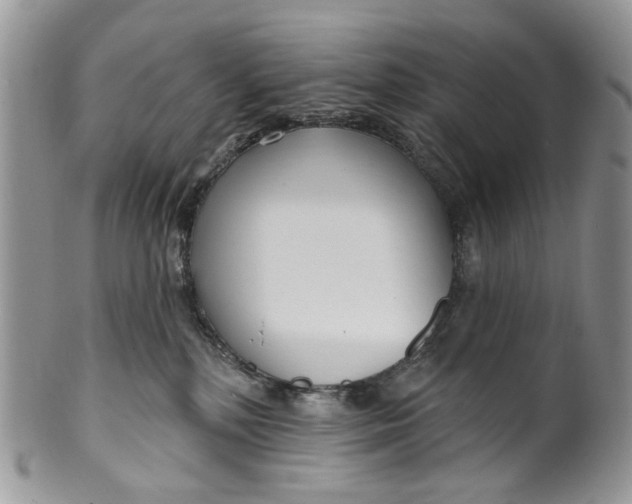 X0000099960232200806131517