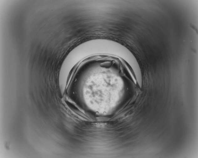 X0000099960233200806131517