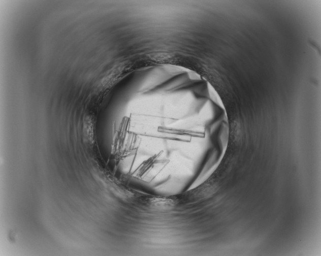 X0000099960234200806131517