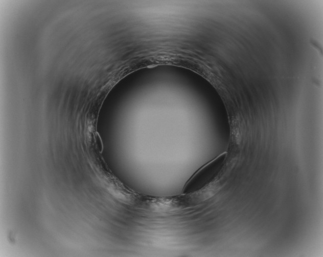 X0000099960235200806131517