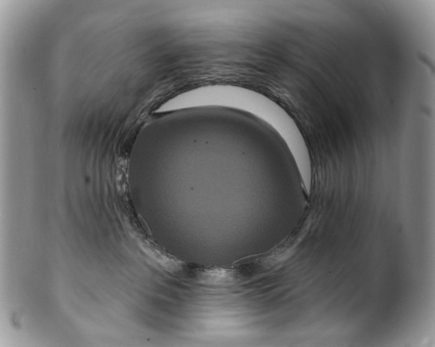 X0000099960237200806131517