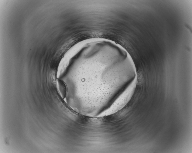 X0000099960238200806131517