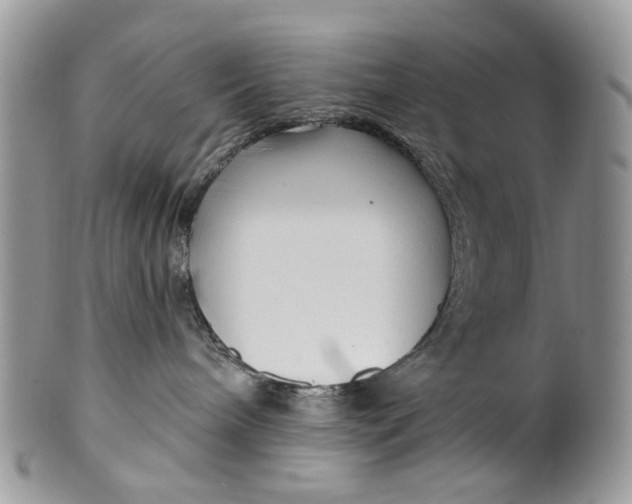 X0000099960240200806131517