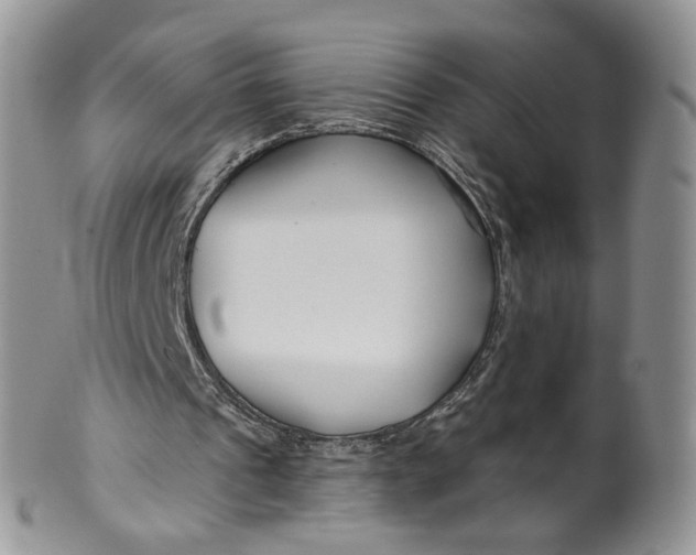 X0000099960241200806131516