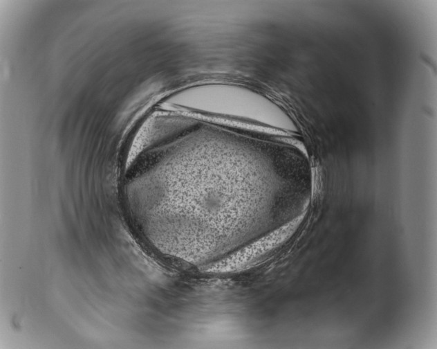 X0000099960243200806131516