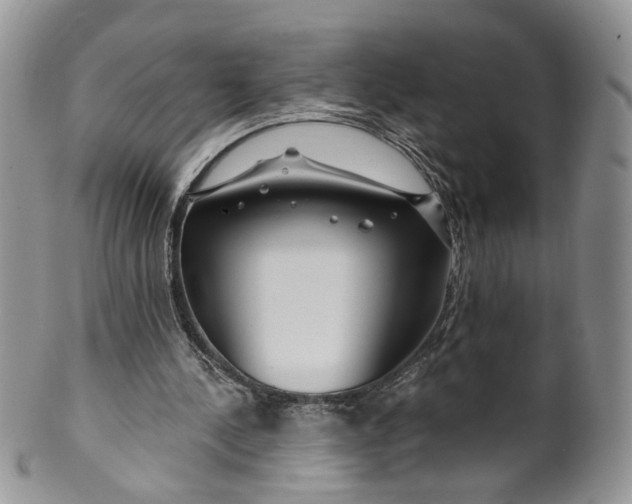 X0000099960244200806131516