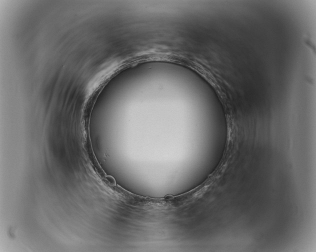 X0000099960245200806131516