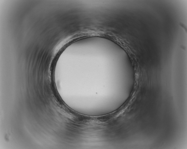 X0000099960246200806131516