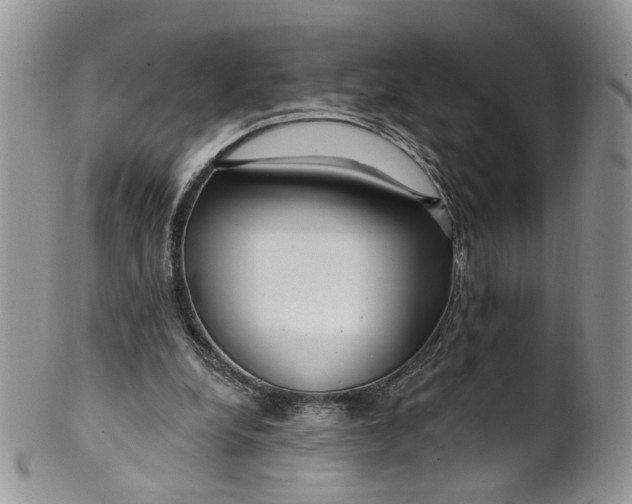 X0000099960248200806131516