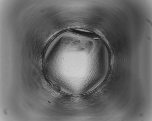 X0000099960249200806131516