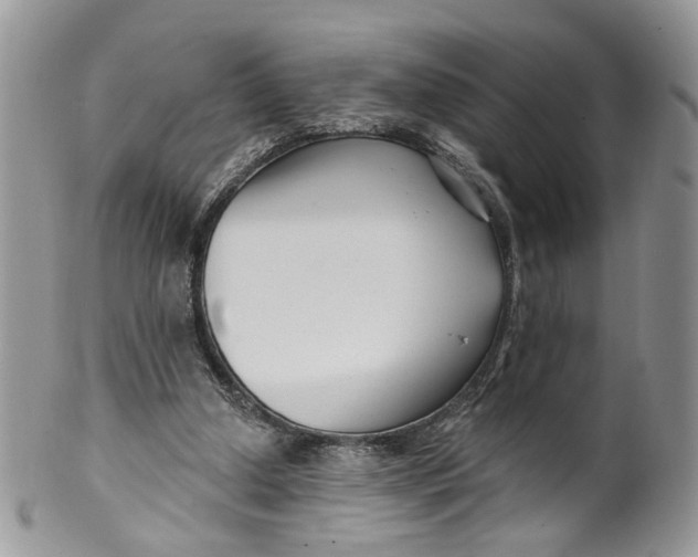 X0000099960250200806131516