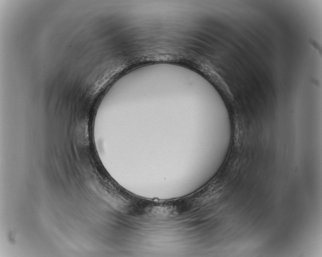 X0000099960251200806131516