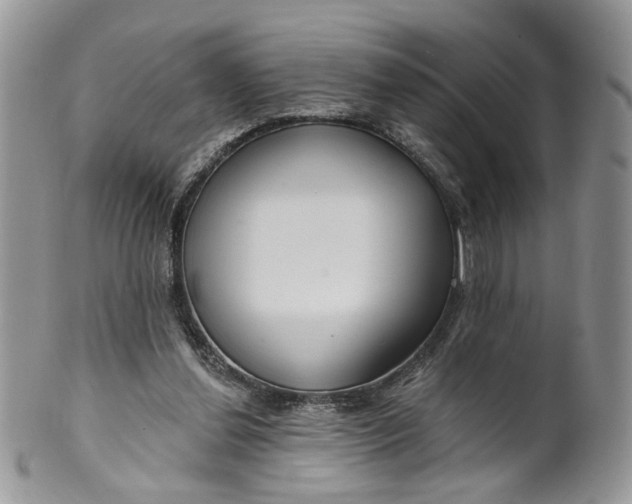 X0000099960252200806131516