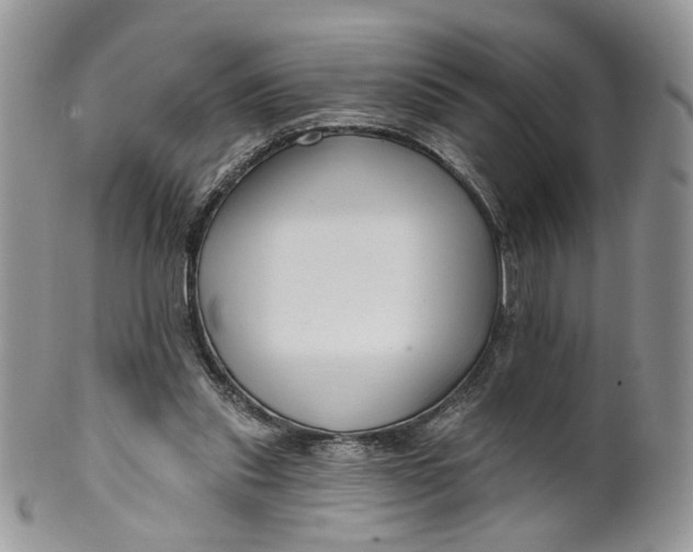 X0000099960253200806131516