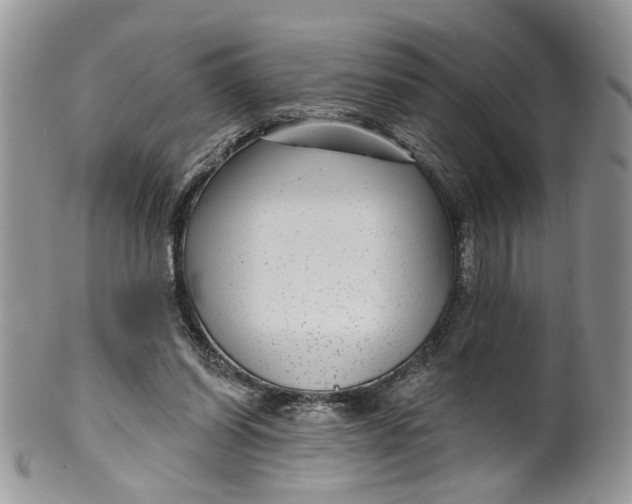 X0000099960254200806131516