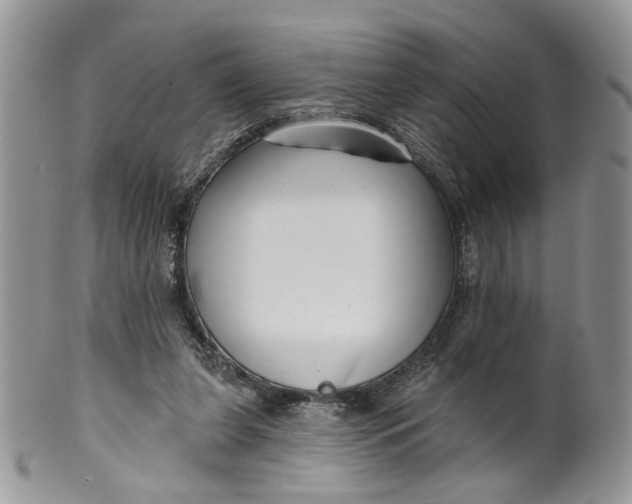 X0000099960255200806131516