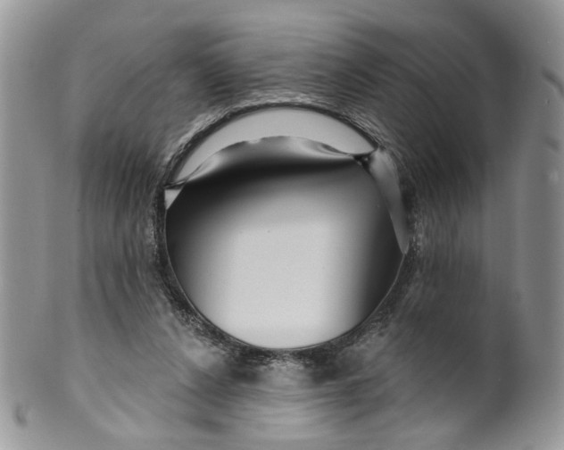 X0000099960256200806131516