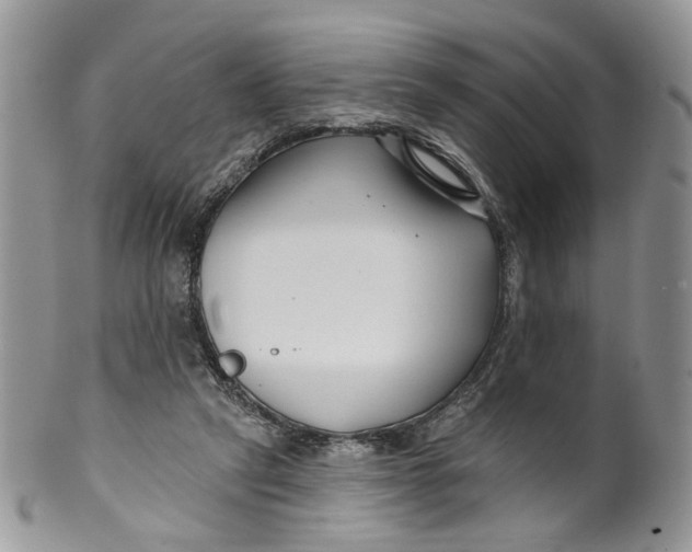 X0000099960257200806131516