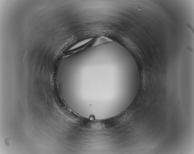 X0000099960258200806131516