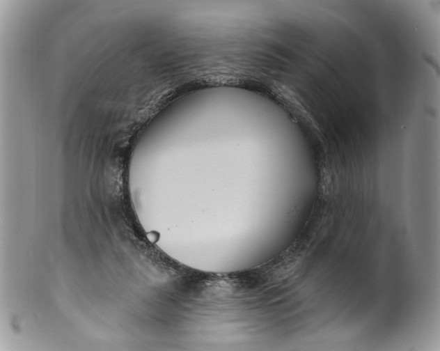 X0000099960259200806131516