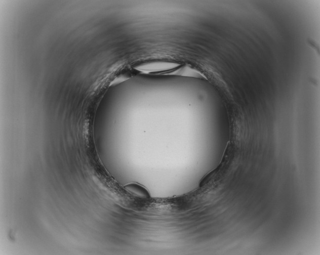 X0000099960260200806131516