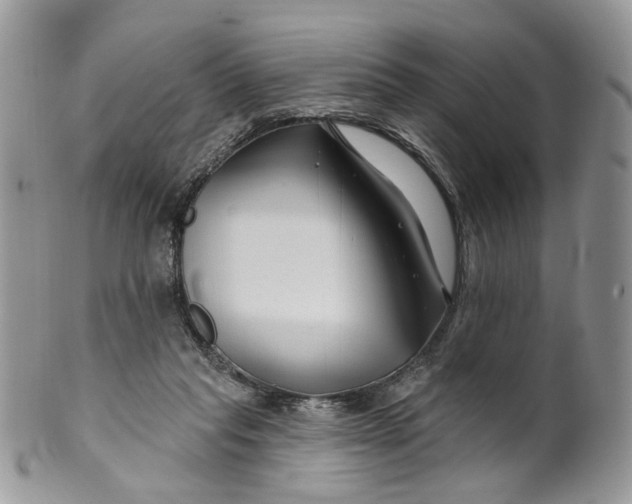 X0000099960261200806131516