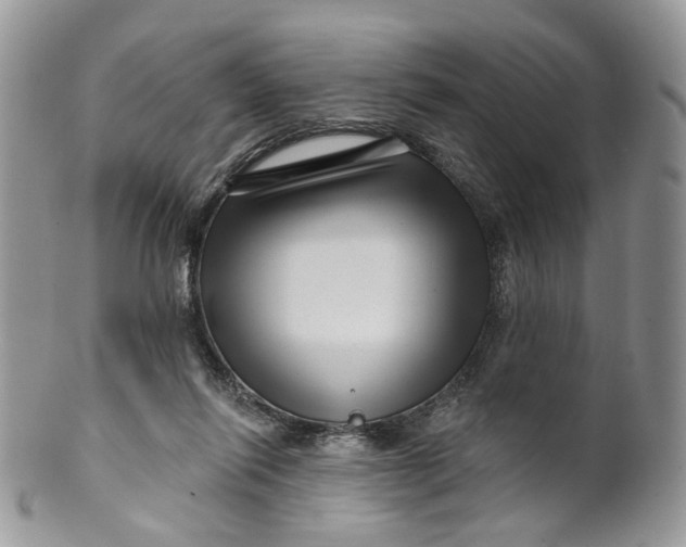 X0000099960262200806131516