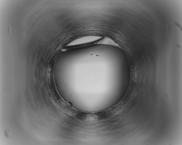 X0000099960263200806131517