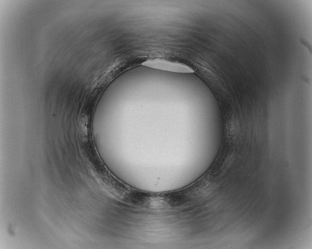 X0000099960264200806131517