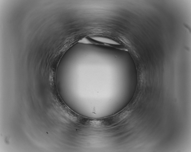 X0000099960265200806131517