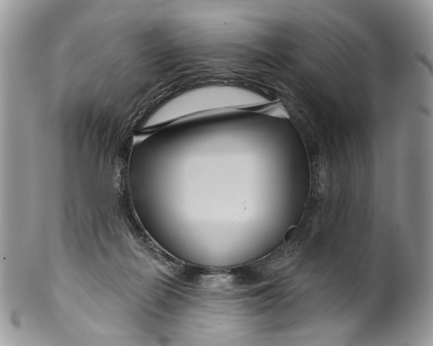 X0000099960266200806131517