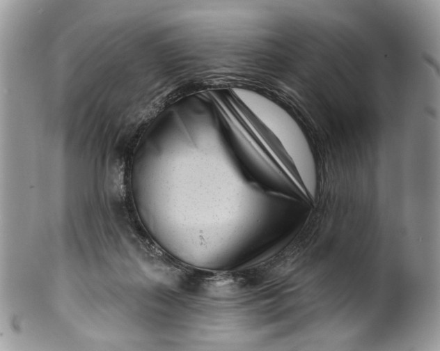 X0000099960267200806131517