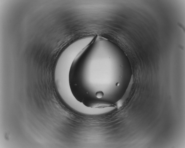 X0000099960268200806131517