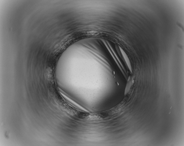 X0000099960270200806131517