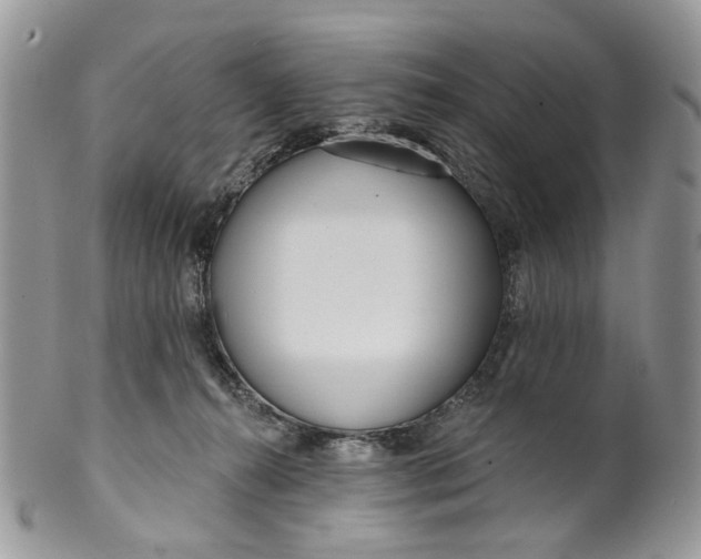 X0000099960272200806131517