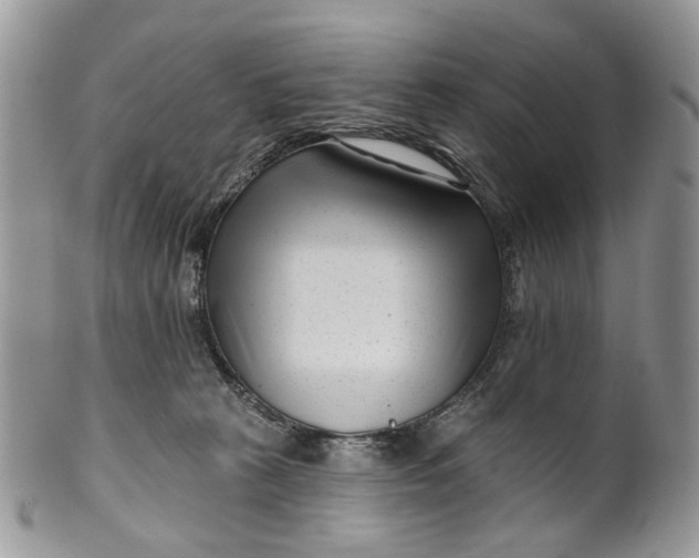 X0000099960273200806131517