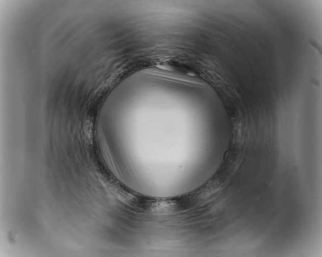 X0000099960274200806131517