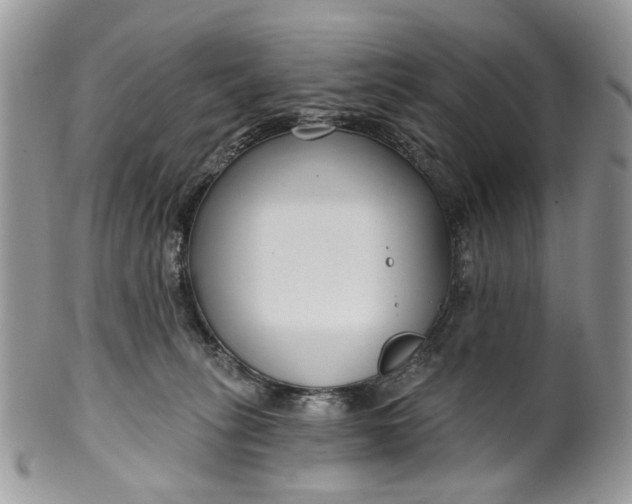 X0000099960275200806131517